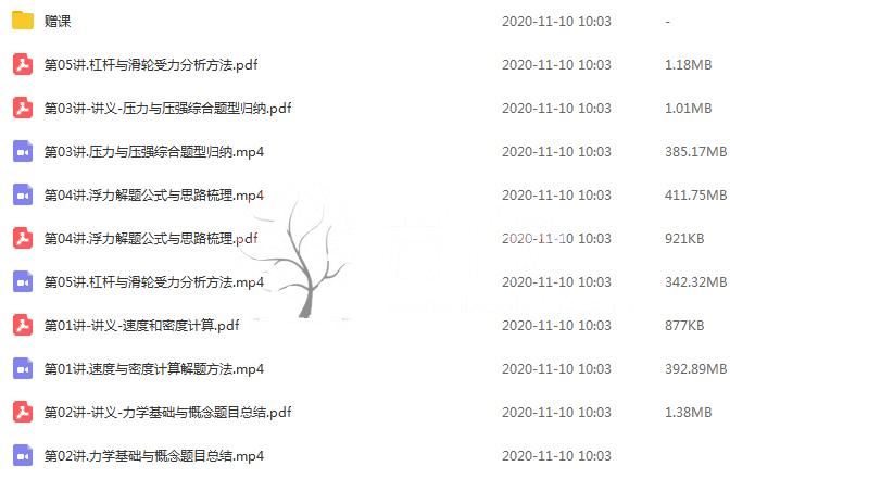 某道精品课 姜牧 2020中考物理一轮复习课程合集（带讲义）