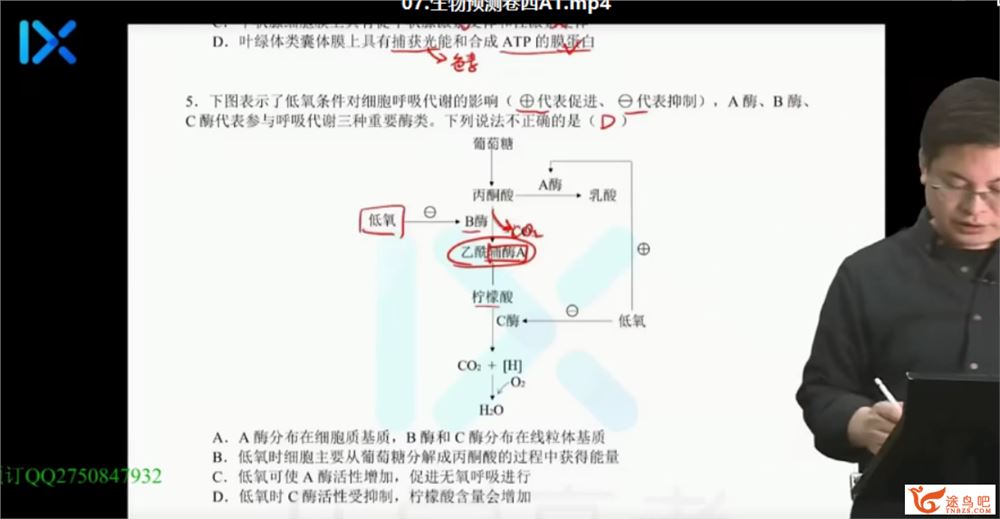 2021高考生物 任春磊生物三轮复习终极预测卷课程视频百度云下载
