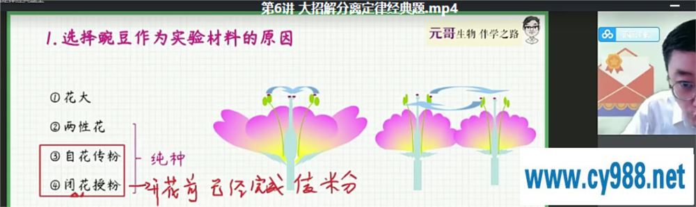 张元振 2022暑假 高一生物暑假尖端班（更完）课程视频百度云下载