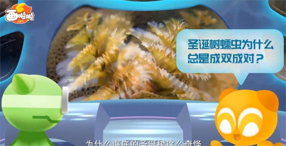 小灯塔学堂 给孩子的第一堂海洋课 10讲完结百度网盘分享