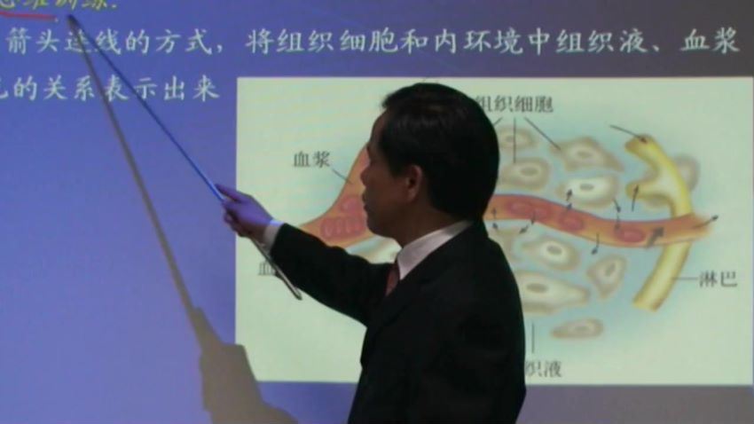 高二生物人教实验版（必修3） 百度网盘(6.01G)