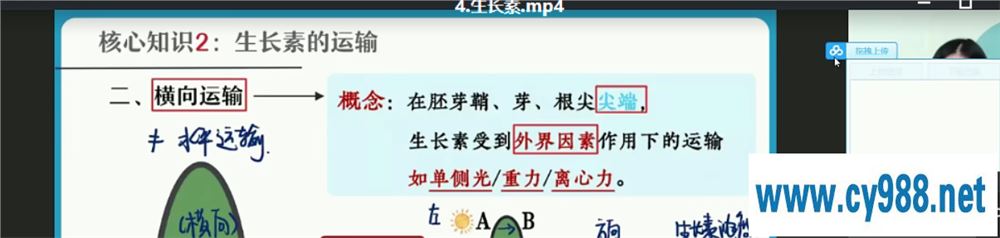 杨雪 2021暑假 高二生物暑假尖端班（更完）课程视频百度云下载