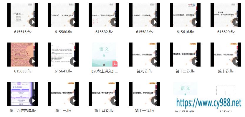 【2020秋定点提分】高二语文秋季直播班-张卡特