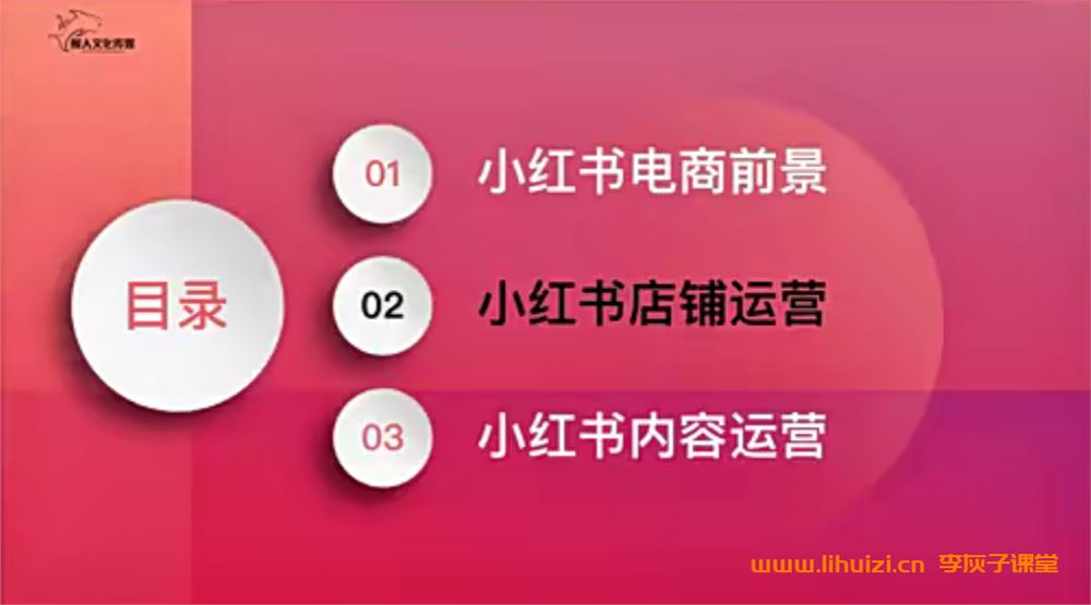 小红书 0-1带货变现营，每天1小时，轻松月入5位数（32节课）百度网盘下载