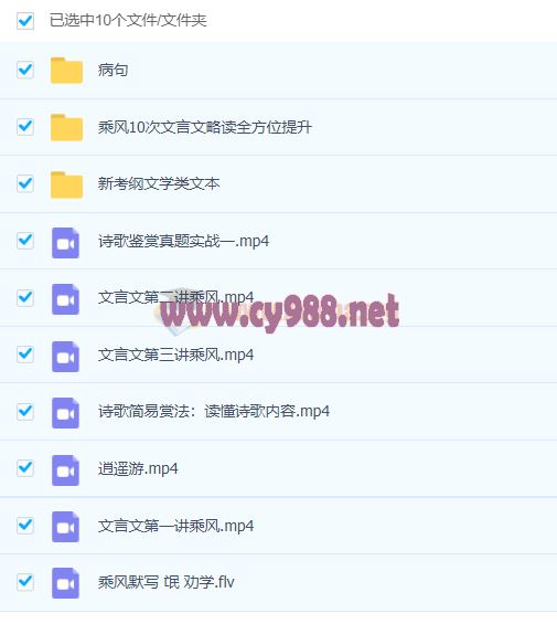 衡水中学高考语文专题专项提分秘籍乘风班