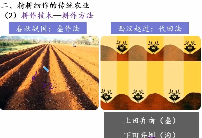 徐爱华 2019寒 高一历史直播菁英班 7讲完结百度网盘下载