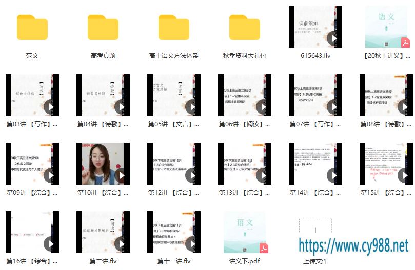 【2020秋目标125+】高三语文秋季轮复习直播班 向欧