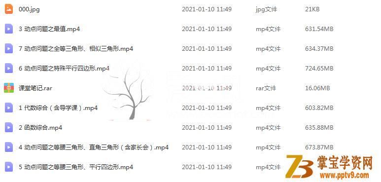 ZYB 王杭州 2020中考数学冲顶班寒假班（7讲高清视频+笔记）