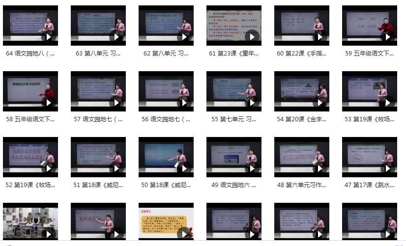 小学五年级语文下册课本知识点同步教学视频(部编版 下学期 64小讲)