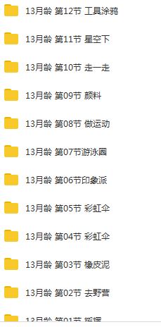 13个月宝宝早教训练方案课程视频全套（56集）