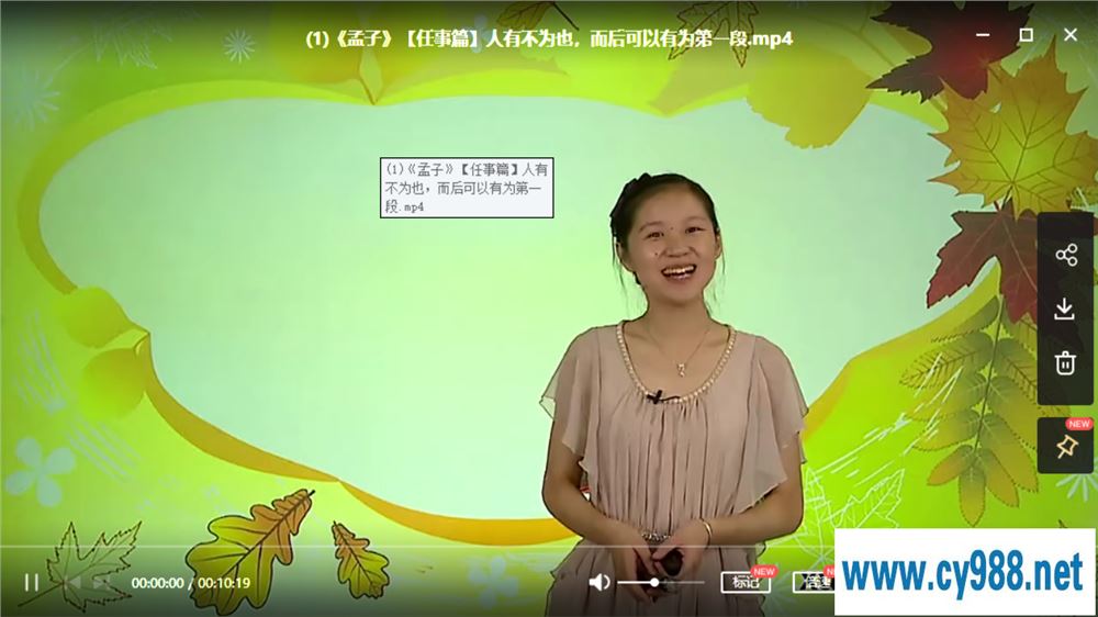 某而思 大语文学堂：国学经典《孟子》（40讲带讲义完结）课程视频百度云下载