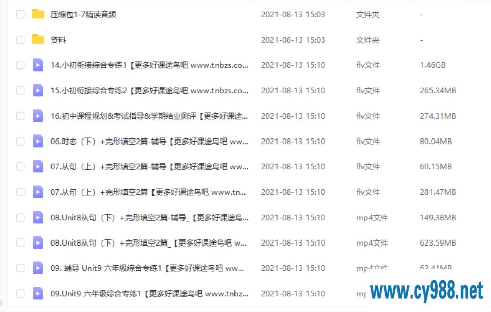 闫功瑾 2020春 六年级双优英语直播目标A+班 完结课程视频百度云下载