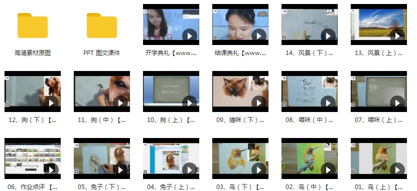 彩铅动物鸟猫狗等视频教程16讲_彩铅动物绘超详细教程