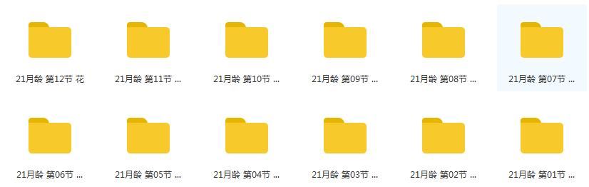 21个月宝宝早教游戏训练课程视频全套（48集）