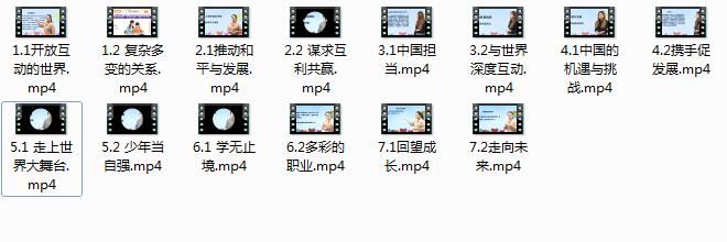 部编版九年级(初三)政治下册课本同步辅导视频课程（下学期 14集全）