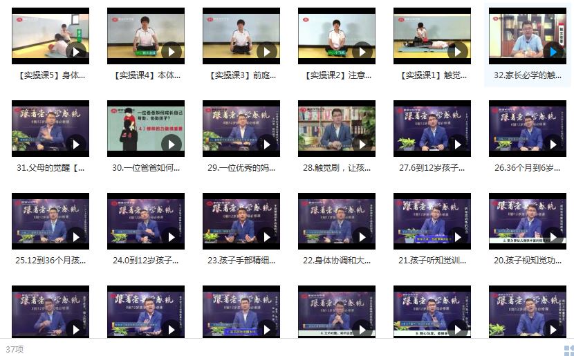 32节课系统学习儿童感统训练课程-宝宝感统失调培训教学视频全集(理论+实操)