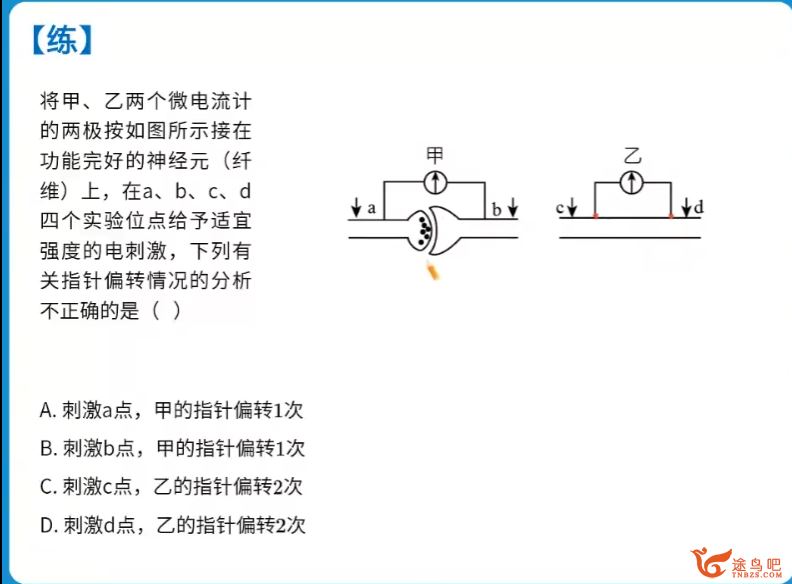 周云2023高二生物秋季尖端班持续更新 周云高二生物百度网盘下载