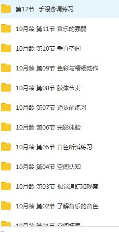 10个月宝宝早教训练课程视频全套（56集）