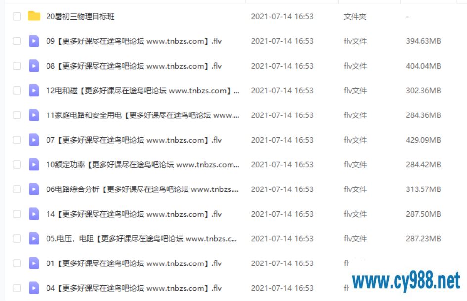 杜春雨 2020暑 初二升初三物理暑期直播目标班课程视频百度云下载