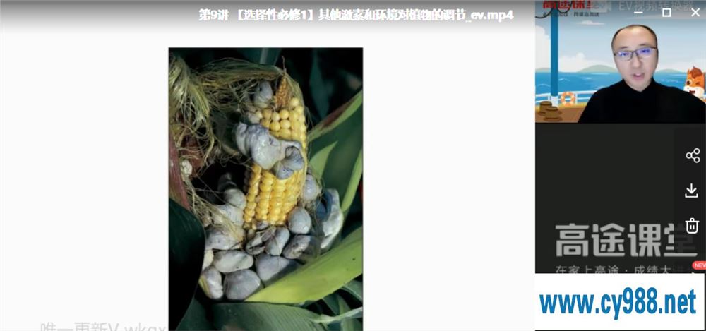 徐京 2021暑假 高二生物暑假尖端班（更完）课程视频百度云下载