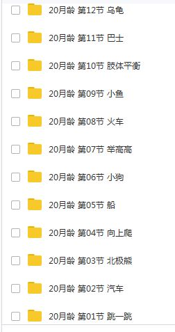 20个月宝宝早教游戏课程视频全套（56集）