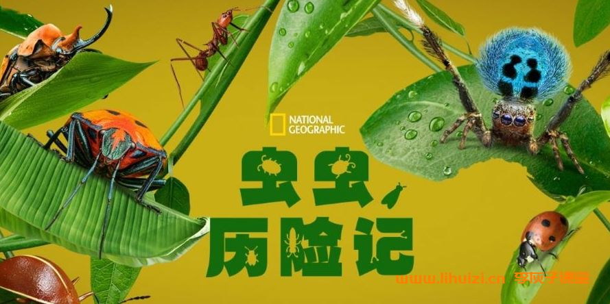 迪士尼自然科普纪录片《虫虫历险记 A Real Bug’s Life》又名：真实虫虫危机 第1季 全5集 英语发音/中英文字幕 mkv/1080P超清 百度网盘下载