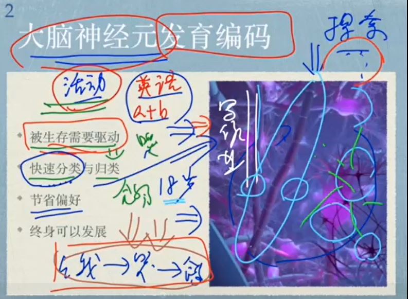 如何学习数学语文英语一切学科的底层方法论 28讲完结