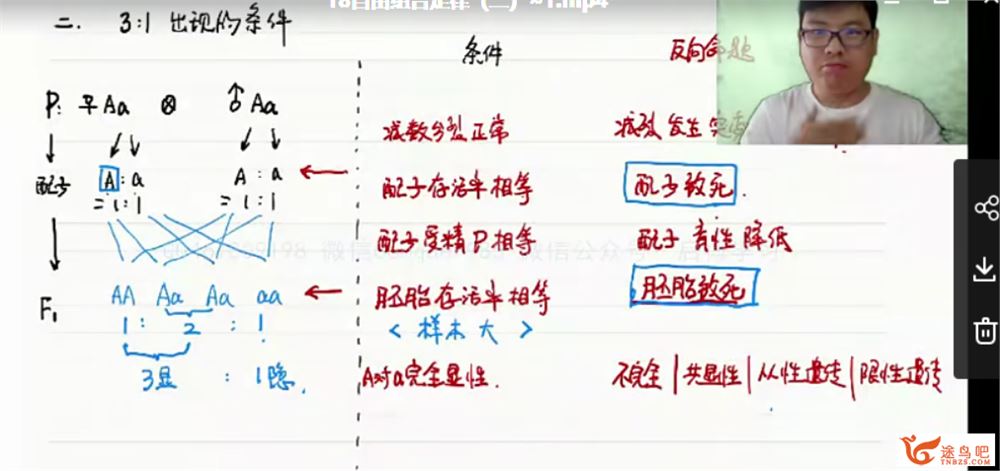 2021高考生物 万猛生物一轮复习联报班资源合集百度云下载 